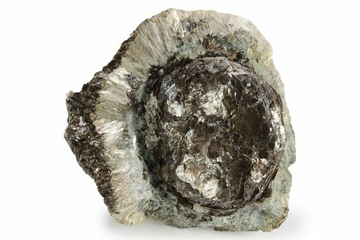 Fibrous Anthophyllite on Phlogopite (Hermanov Sphere) #239623